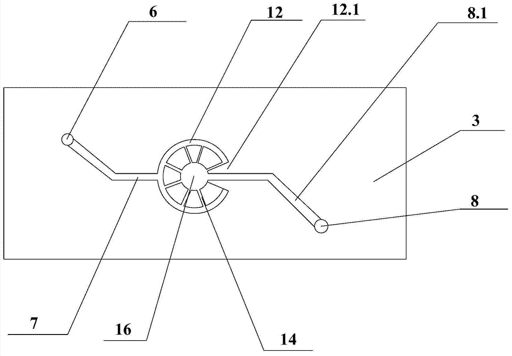 Rare cell detection chip and application thereof