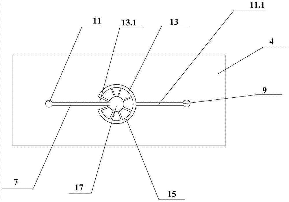 Rare cell detection chip and application thereof