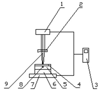 Method and device for plasticizing plastics based on Nd: YAG solid state laser