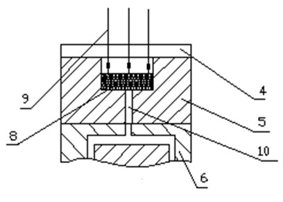 Method and device for plasticizing plastics based on Nd: YAG solid state laser