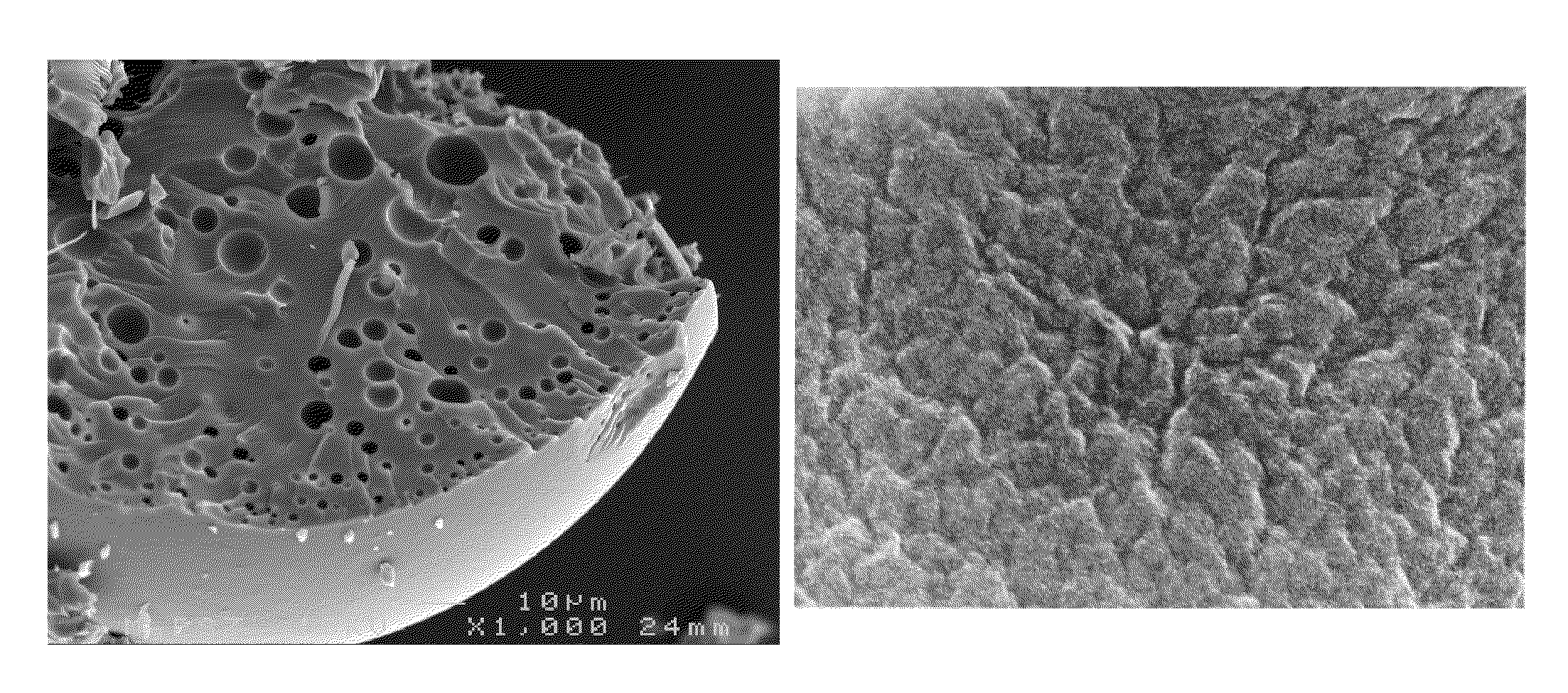 Synthesis and use of organosilica particles