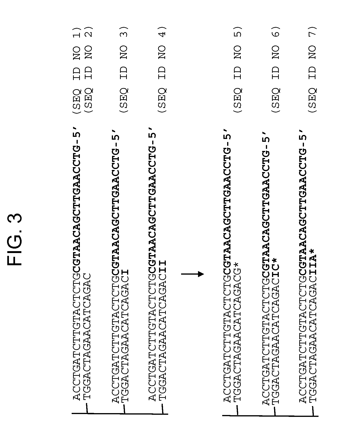 Array-based translocation and rearrangement assays