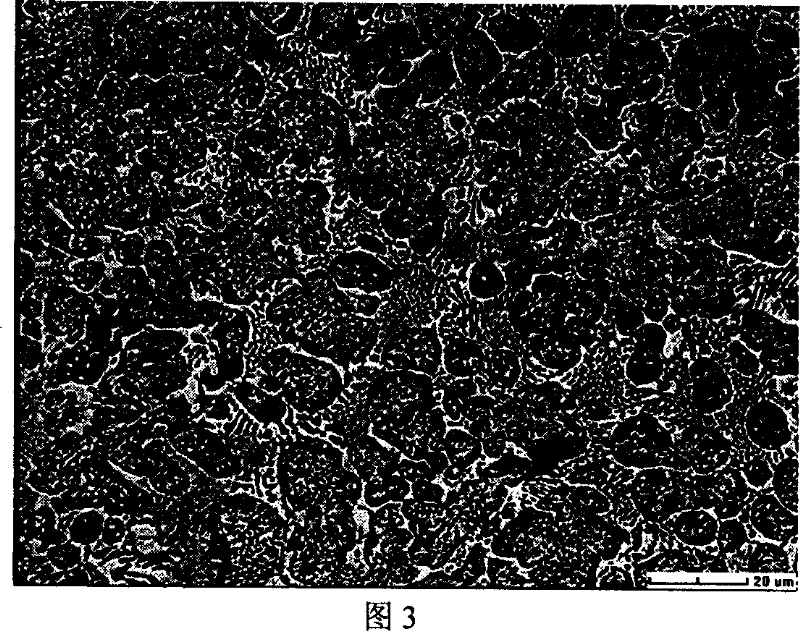 Pseudo-crystal reinforced high zinc magnesium alloy and method for manufacturing same