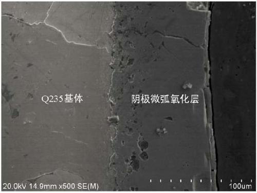 Cathodic micro-arc oxidation solution and method for preparing DLC composite oxidation film on steel surface