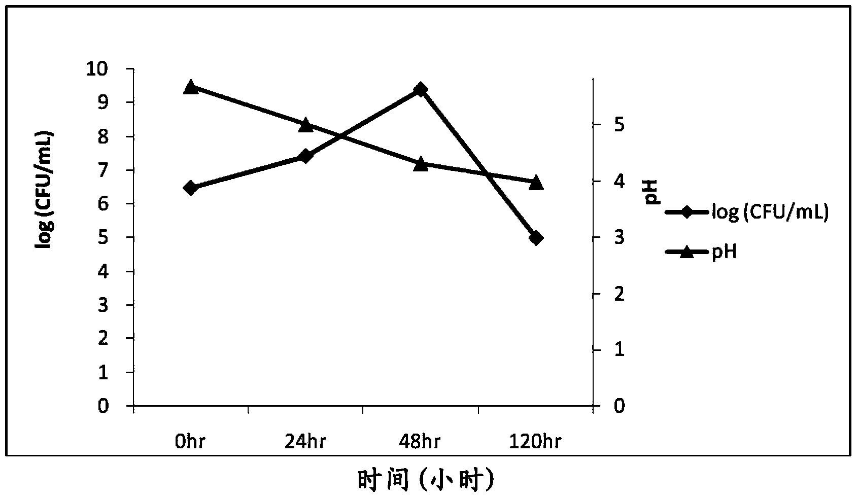 Probiotic strain for the production of the hyaluronic acid and use thereof