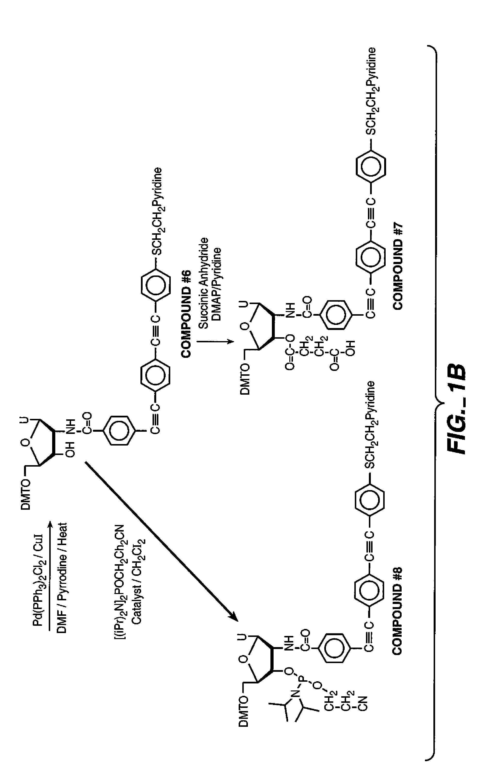 AC/DC voltage apparatus for detection of nucleic acids