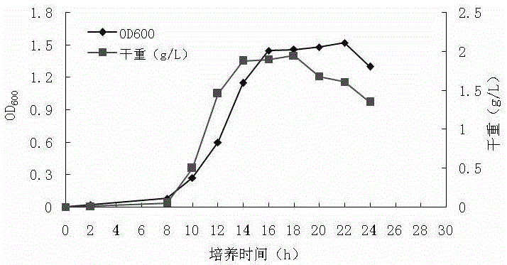 Method for preparing theanine by biological method