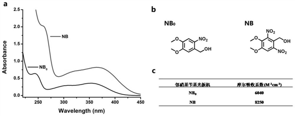 Preparation method, raw material, product and application of photocoupled crosslinked hydrogel material