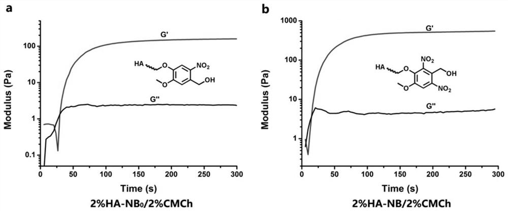 Preparation method, raw material, product and application of photocoupled crosslinked hydrogel material