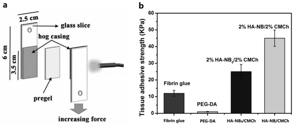 Preparation method, raw material, product and application of photocoupled crosslinked hydrogel material