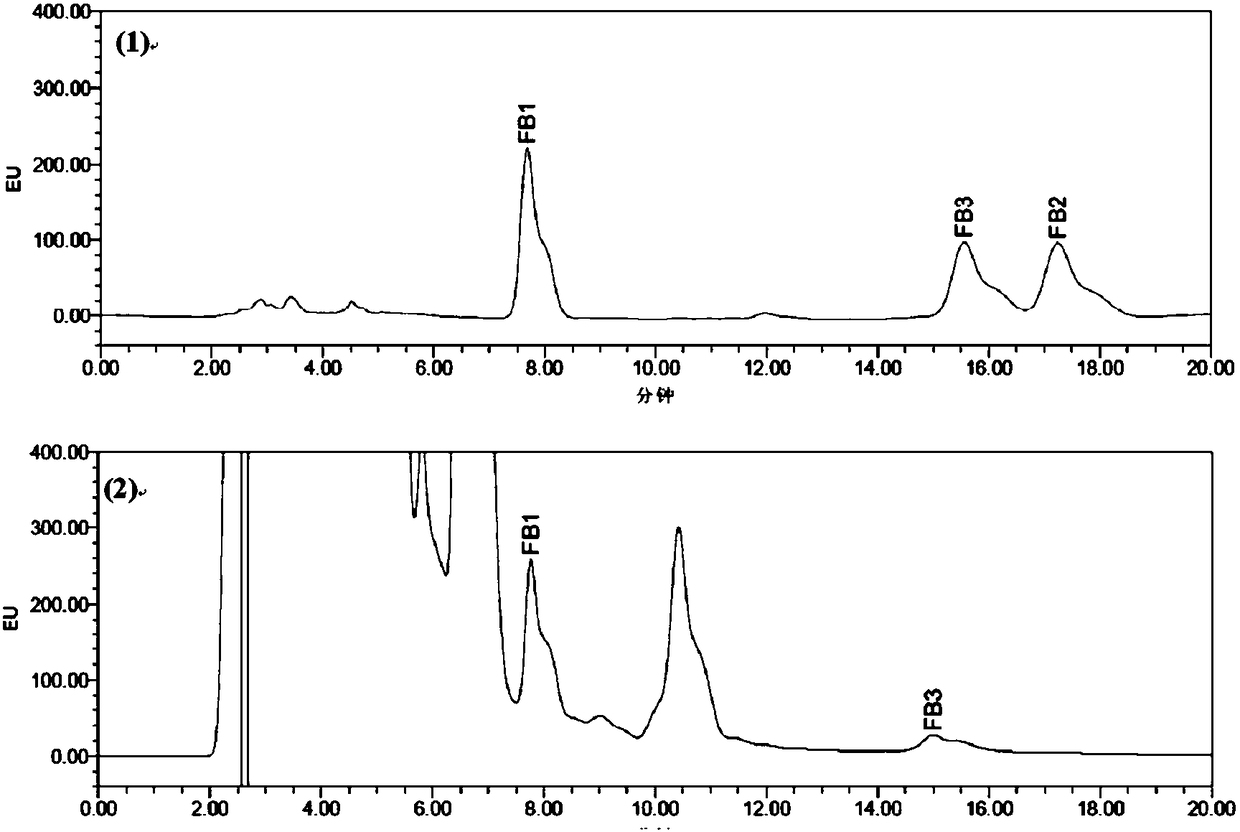 Synchronous detection kit of fungi capable of producing trichothecene mycotoxins, fumonisins, and zearalenone