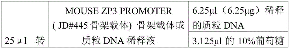 Method for realizing RNA (ribonucleic acid) overexpression by ovarian orthotopic injection and application of method