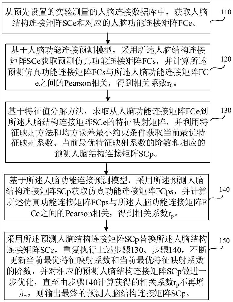 A method and device for optimizing the structural connection of a human brain model based on feature mapping