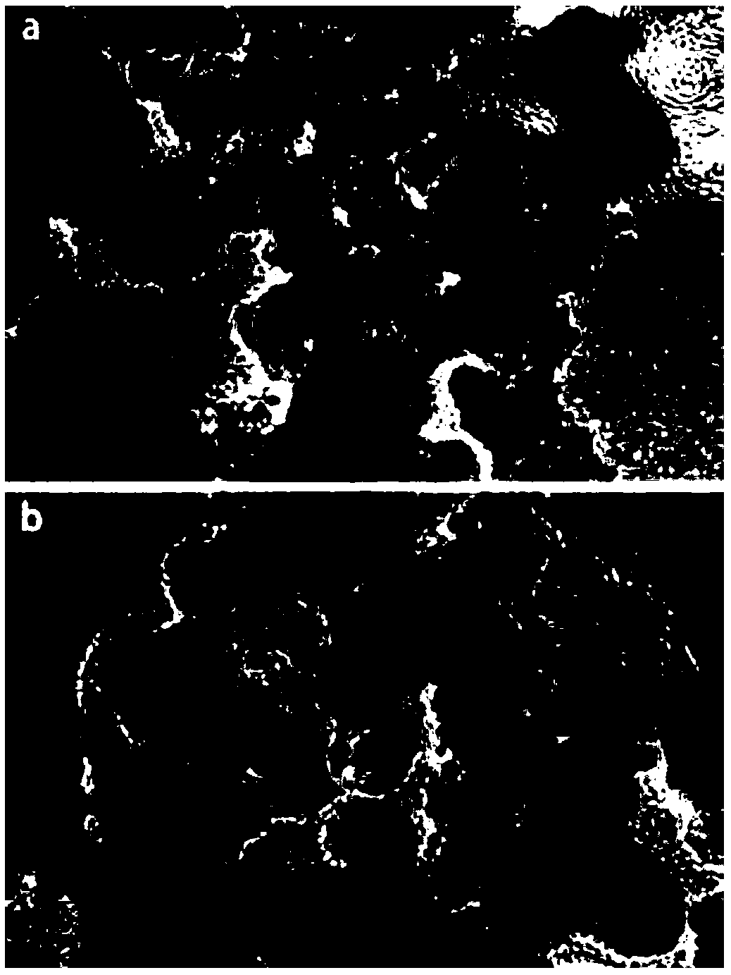 Preparation method of precious metal alloy/carbon material supported catalyst