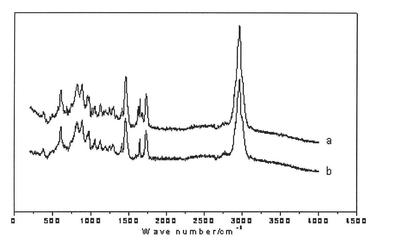 Preparation method of molecularly imprinted polymer of methyltestosterone