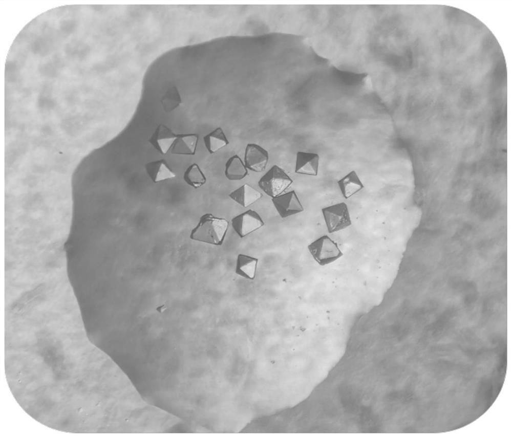 Thorium-based metal organic framework material and preparation method and application thereof