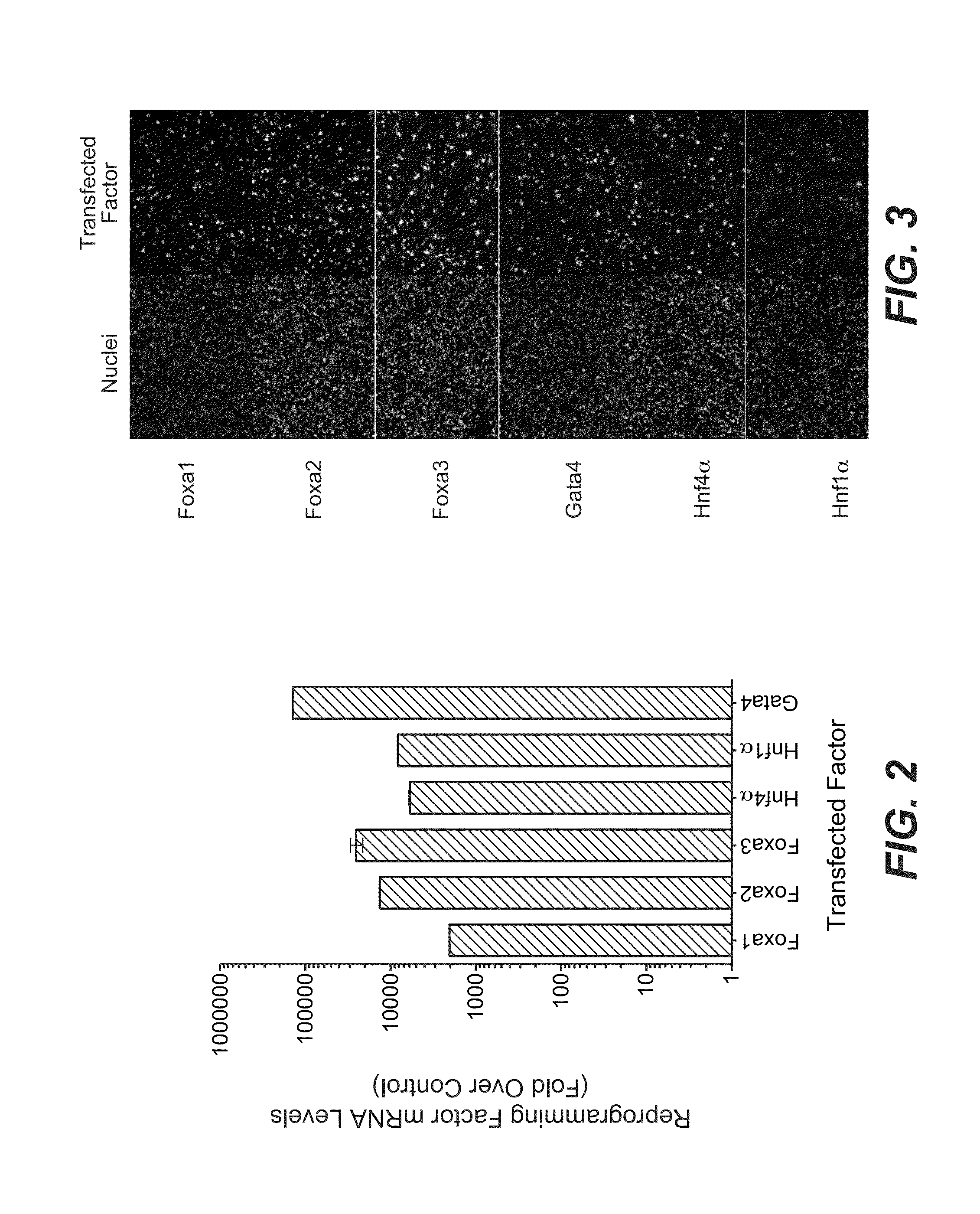 Methods and compositions for producing induced hepatocytes