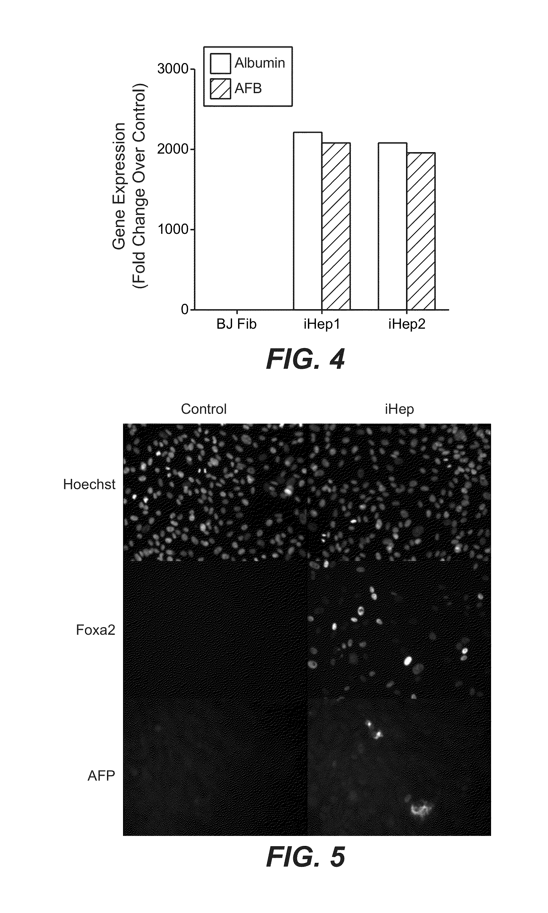 Methods and compositions for producing induced hepatocytes