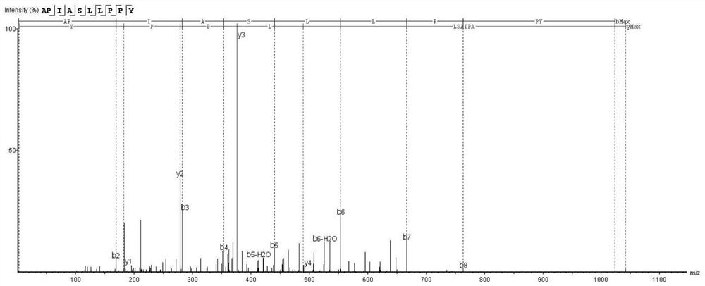 Casein peptide with sleep improving effect and preparation method and application thereof