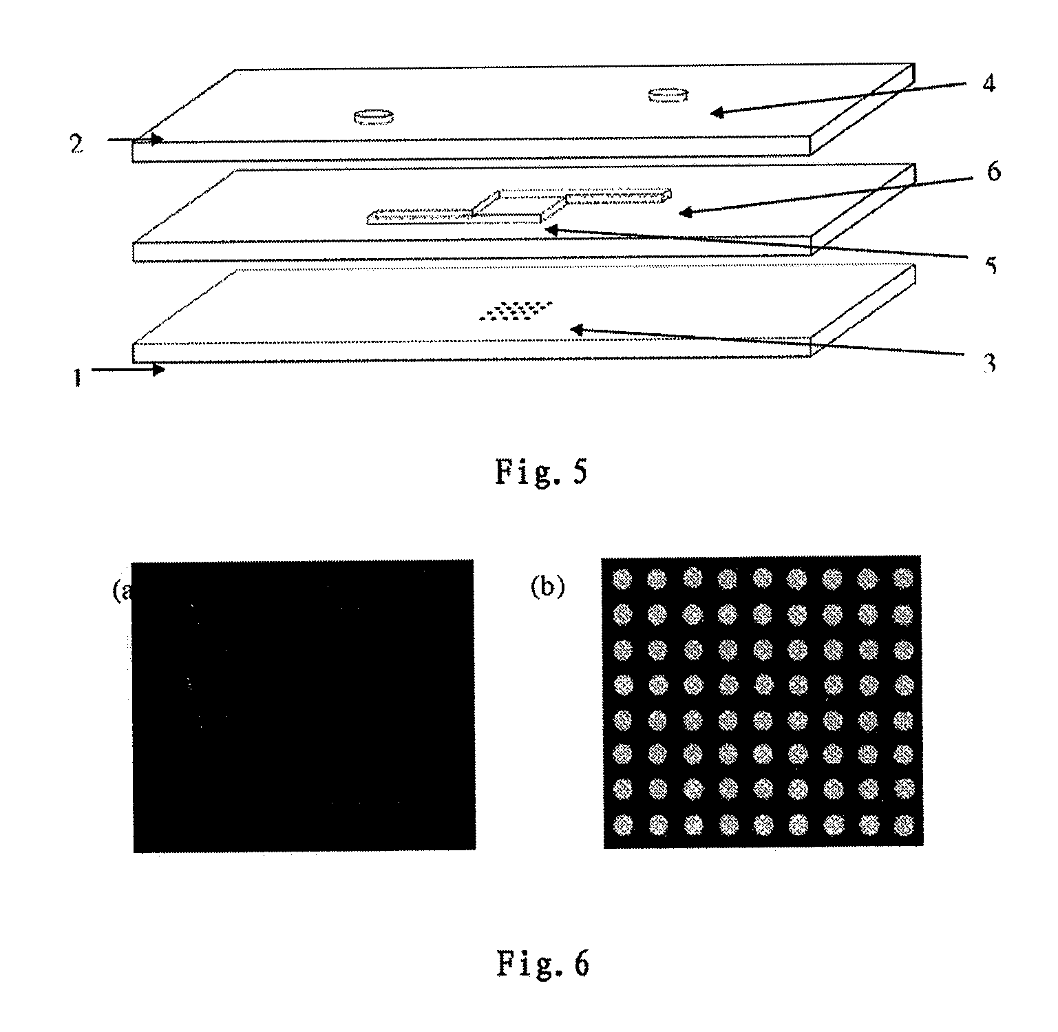 Biological chip hybridization system