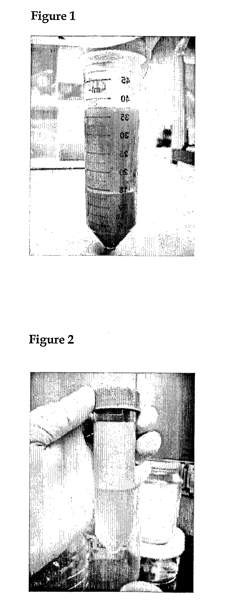 Composition for Transplantation Comprising Adipose Stem Cells or Adipocytes