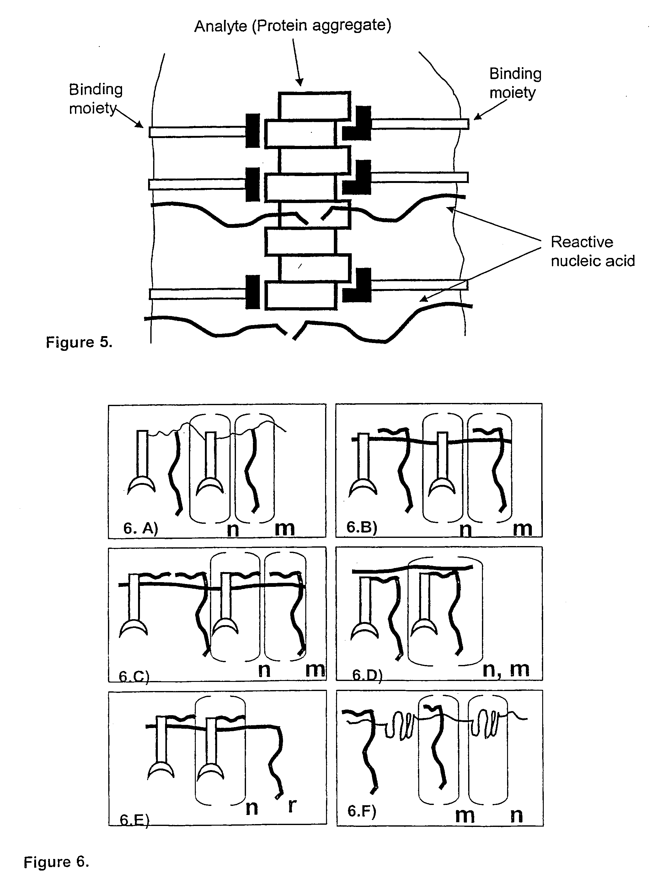 Method and kit for proximity probing with multivalent proximity probes