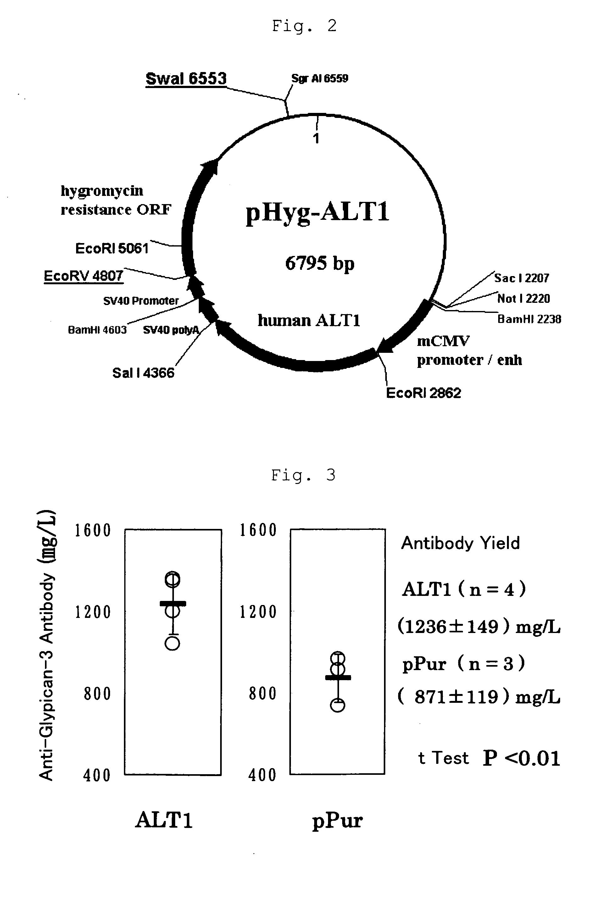 Method of producing heterogeneous protein