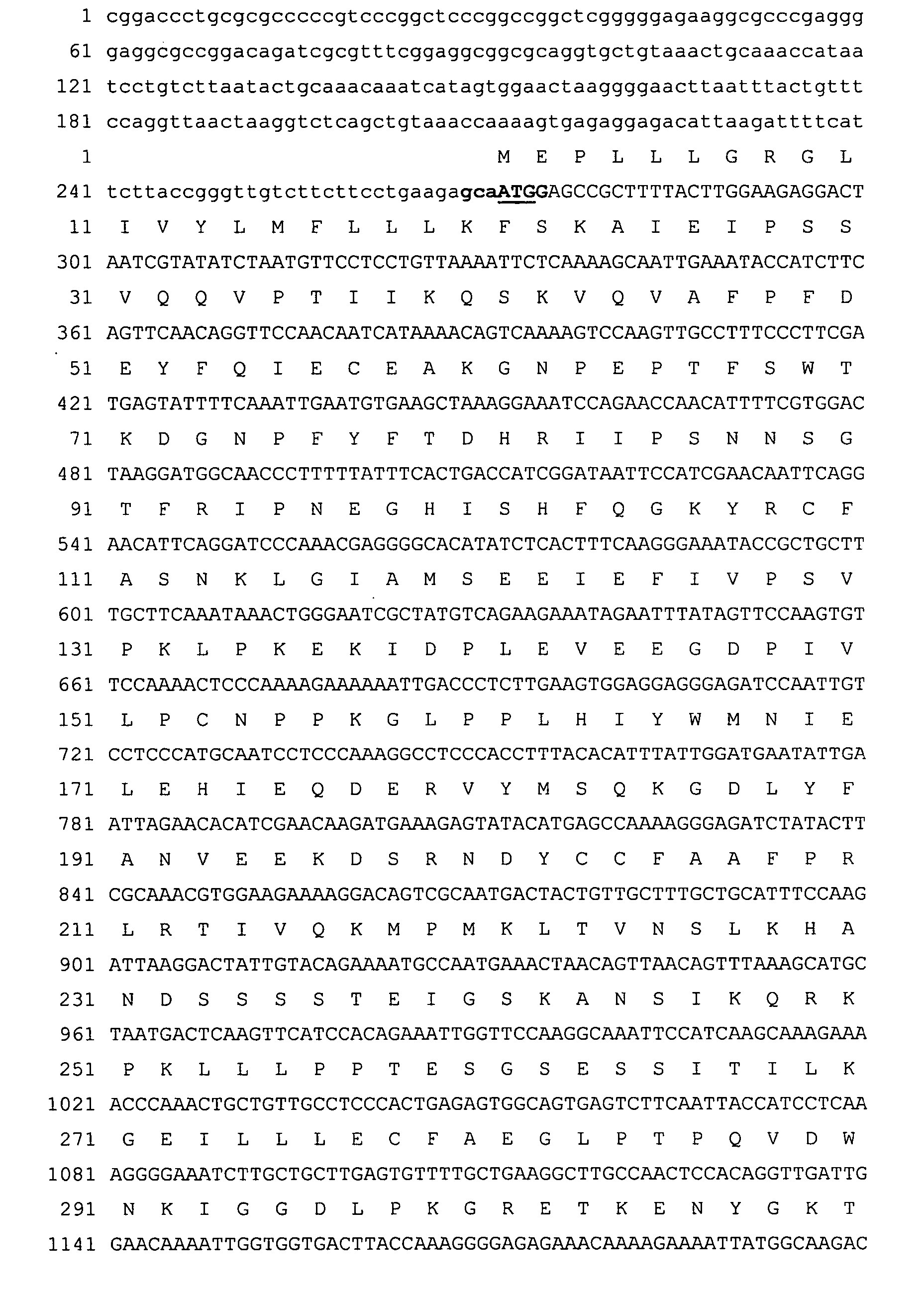 Nucleic acids and corresponding proteins entitled 282P1G3 useful in treatment and detection of cancer