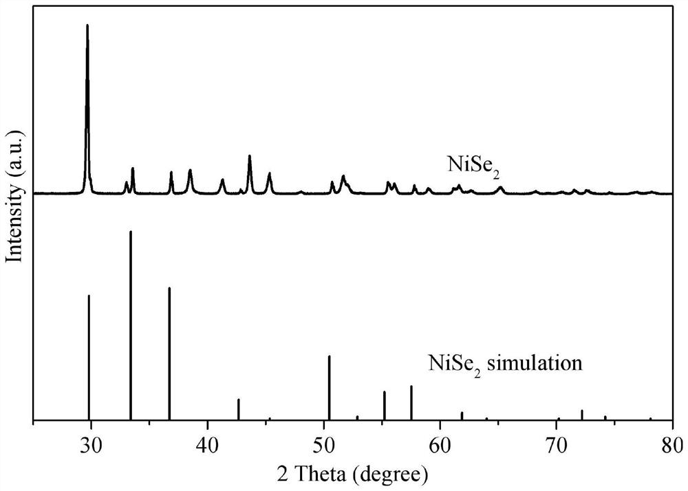 a flower-like structure nise  <sub>2</sub> The preparation method and its application