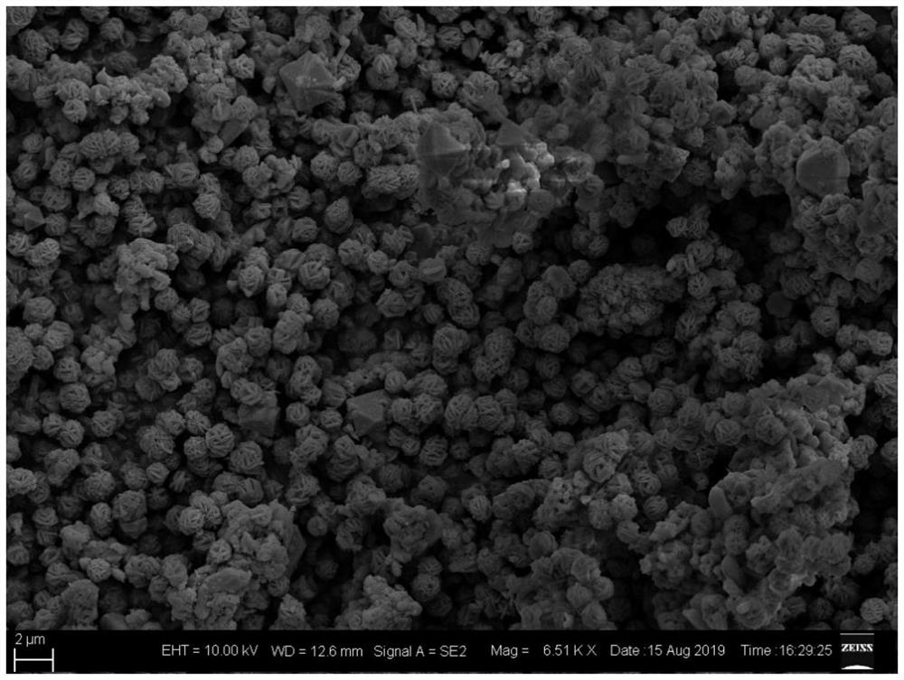 a flower-like structure nise  <sub>2</sub> The preparation method and its application