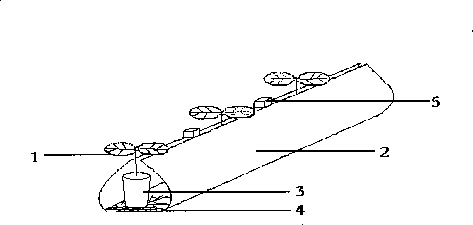 Soilless capillary hydroponics rearing groove