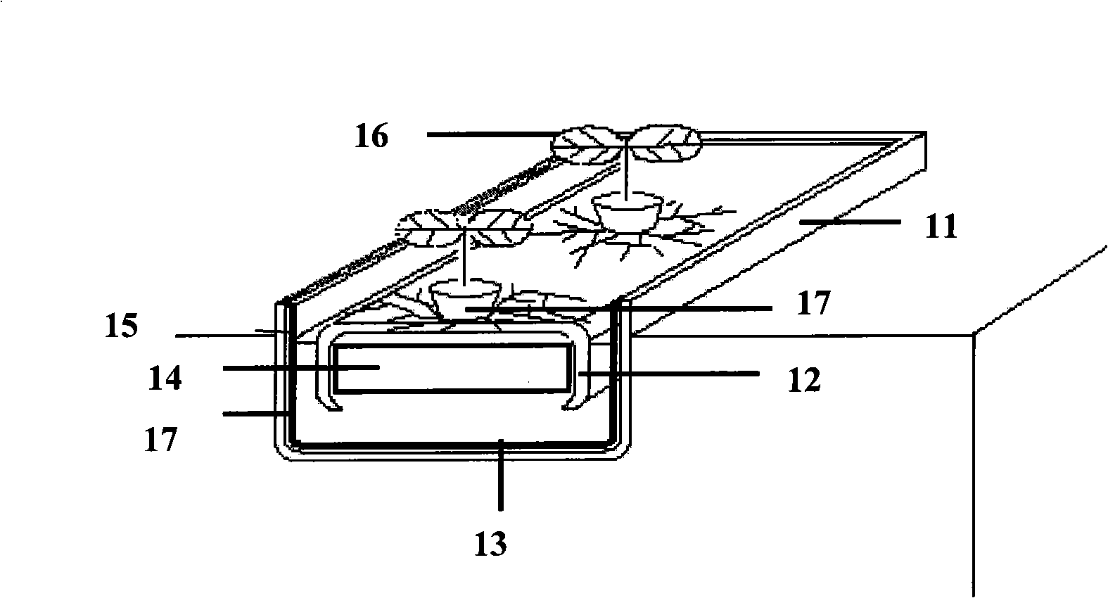 Soilless capillary hydroponics rearing groove