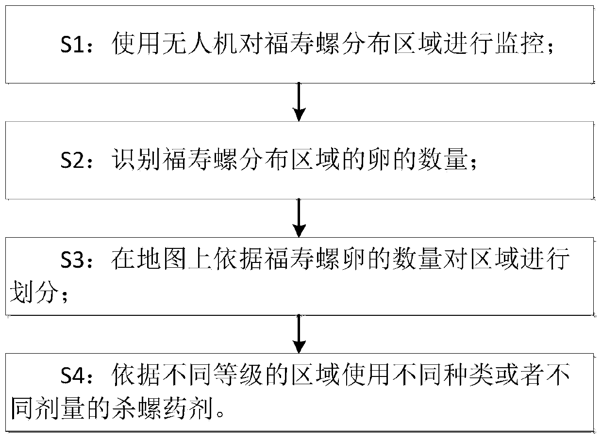 Method for detecting pomacea canaliculata and controlling dosage by using unmanned aerial vehicle