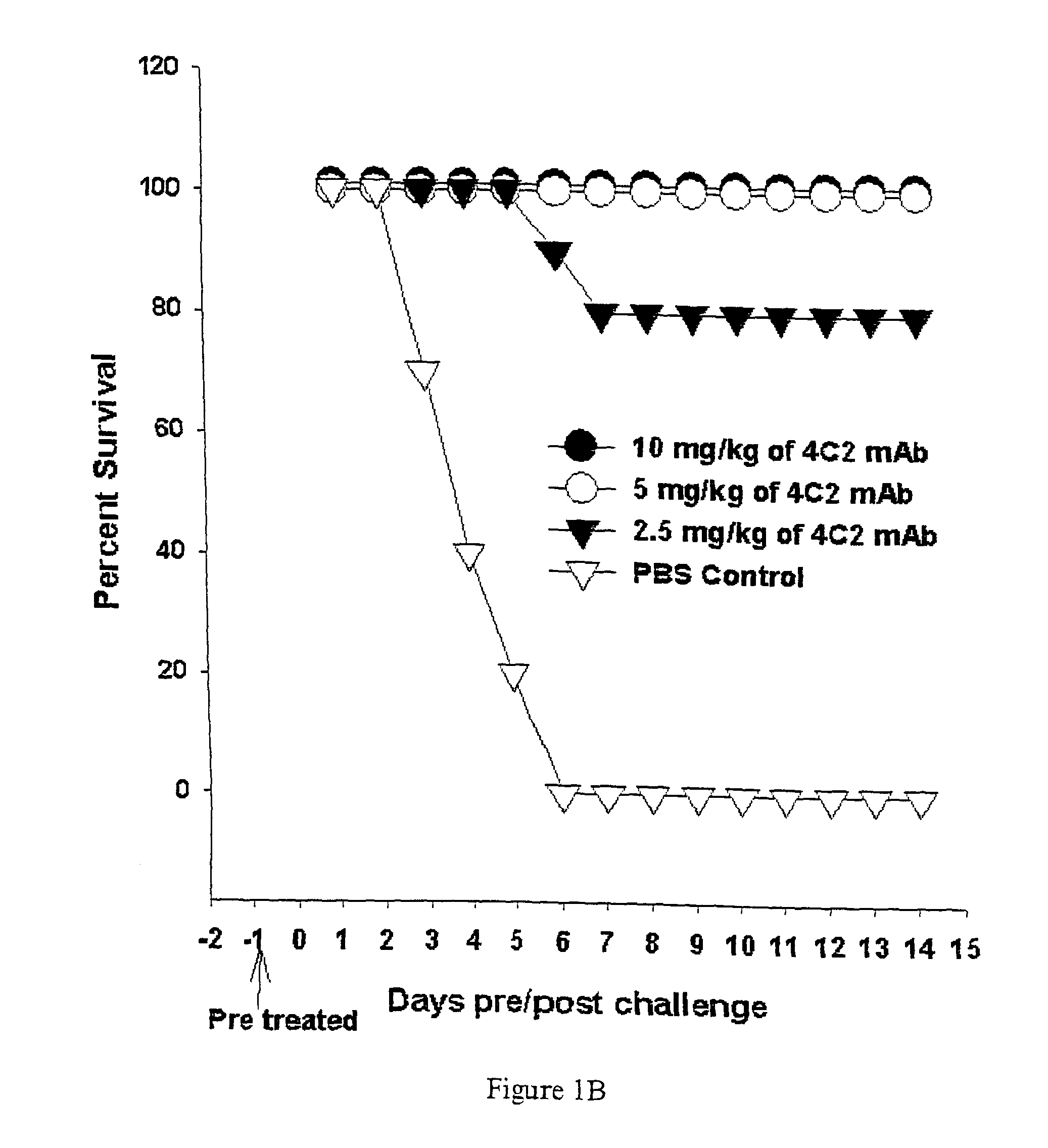 Monoclonal antibody specific to major neutralizing epitope of influenza H5 hemagglutinin