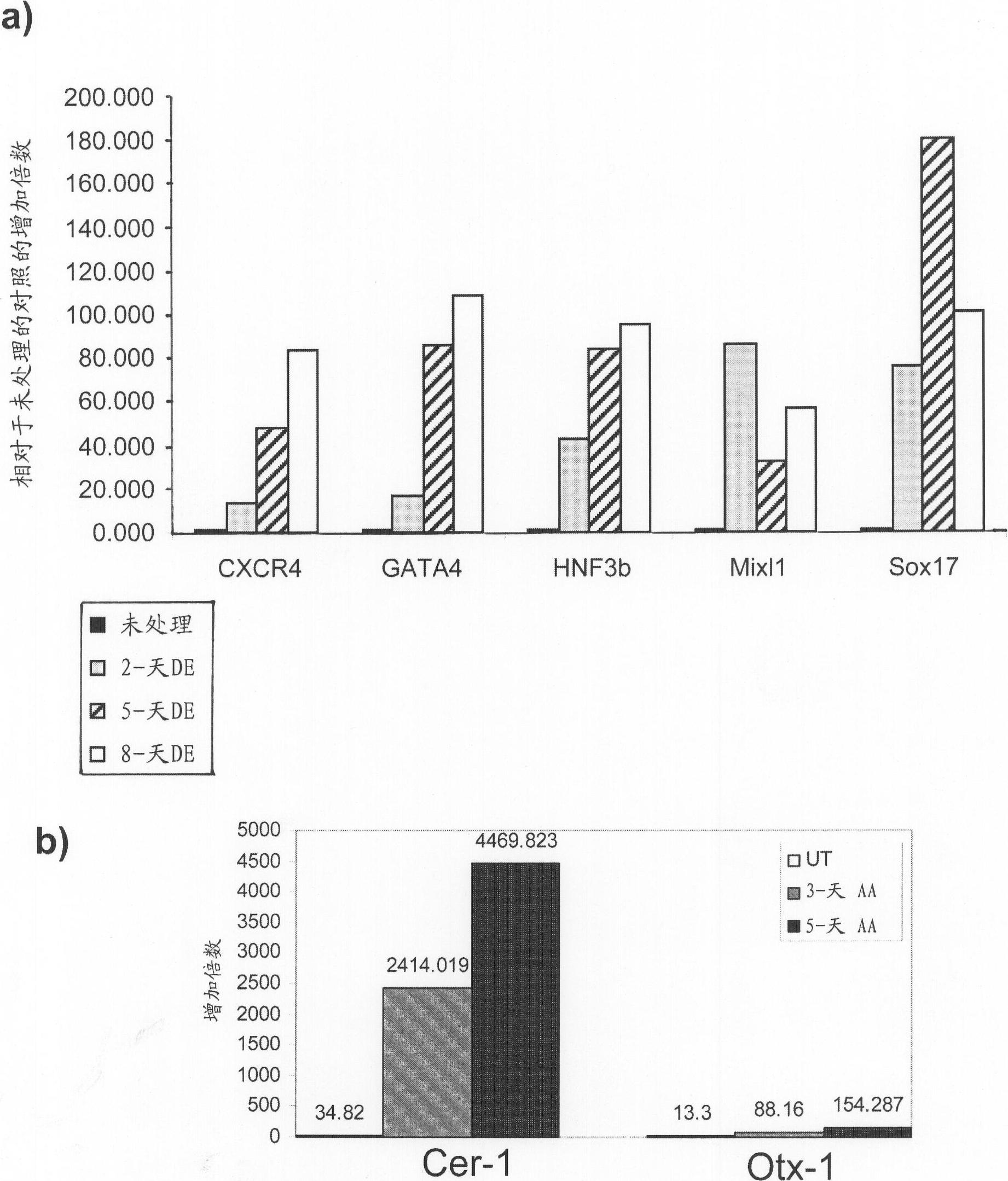 Differentiation of human embryonic stem cells