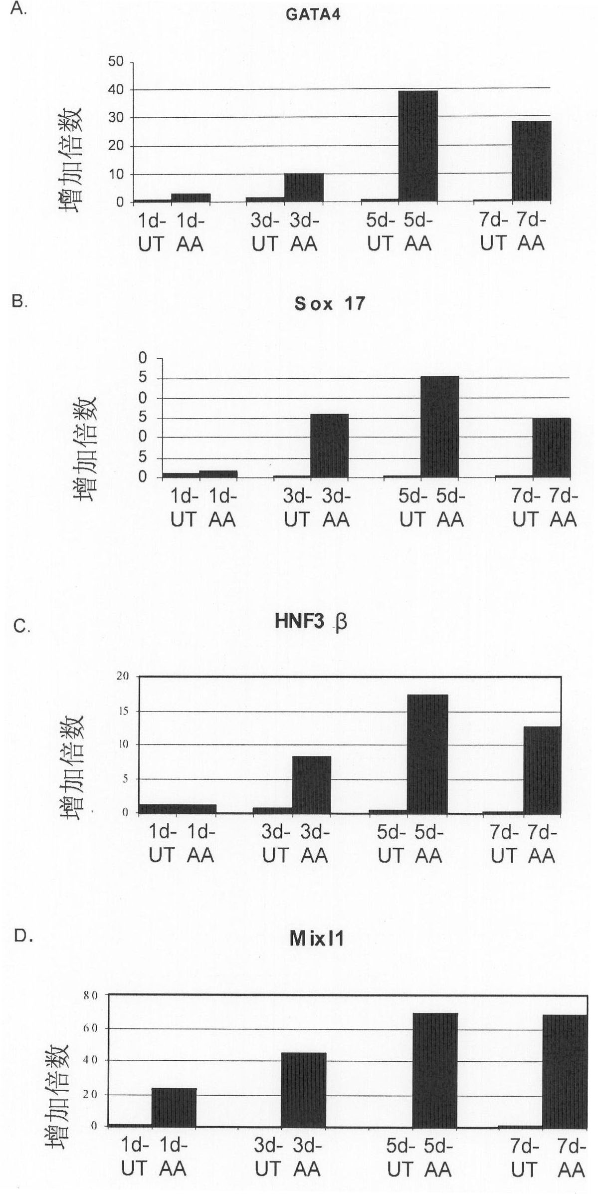 Differentiation of human embryonic stem cells