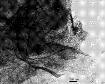 Preparation method for graphene load flower-shaped porous nickel oxide composite materials