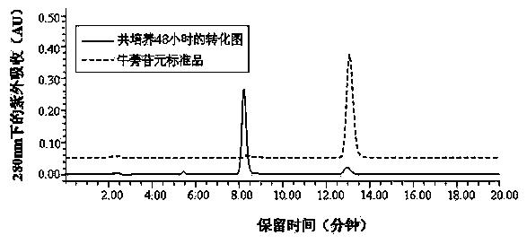 Blautia sp. AUH-JLD56 and application thereof in conversion of arctigenin