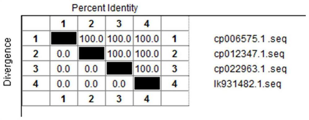 Inert carrier indirect agglutination test detection system and its application