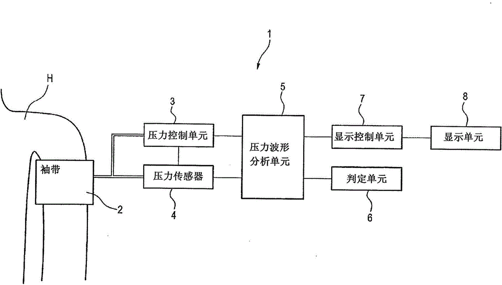 Blood pressure measuring apparatus and blood pressure measuring method