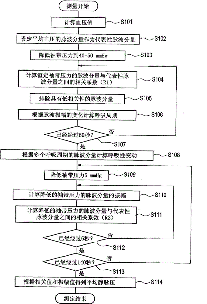 Blood pressure measuring apparatus and blood pressure measuring method