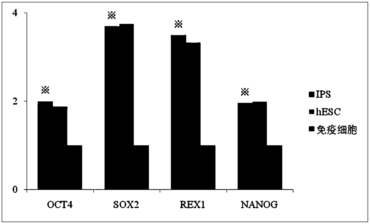 Method for preparing retinal pigment epithelial cell slice by using autologous immunocyte