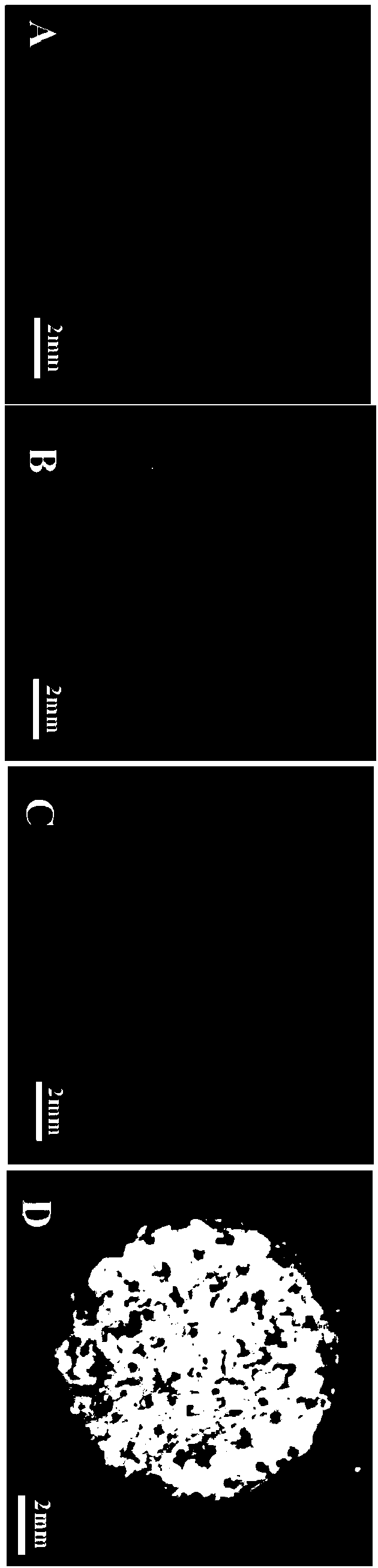 3D-printing PCL-PMMA-vancomycin anti-infection bone scaffold, and preparation method and application thereof