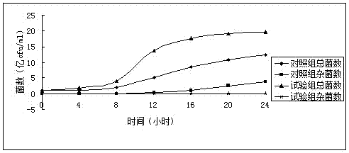 Bacillus megaterium bacterial fertilizer for onsite fermentation in farm and applications thereof