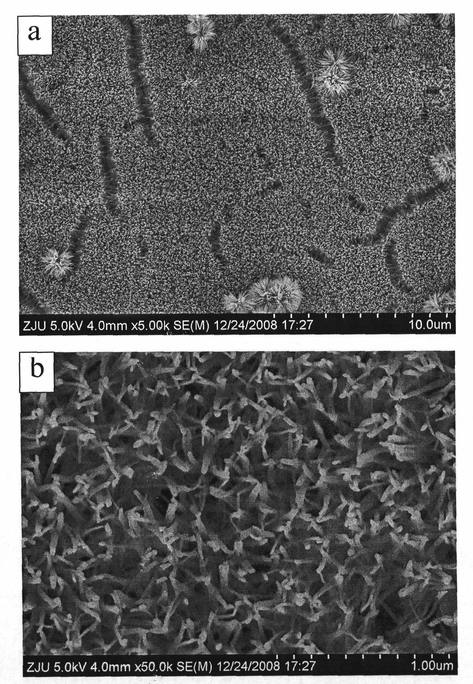 Method for producing nano-wire array film of titanium dioxide