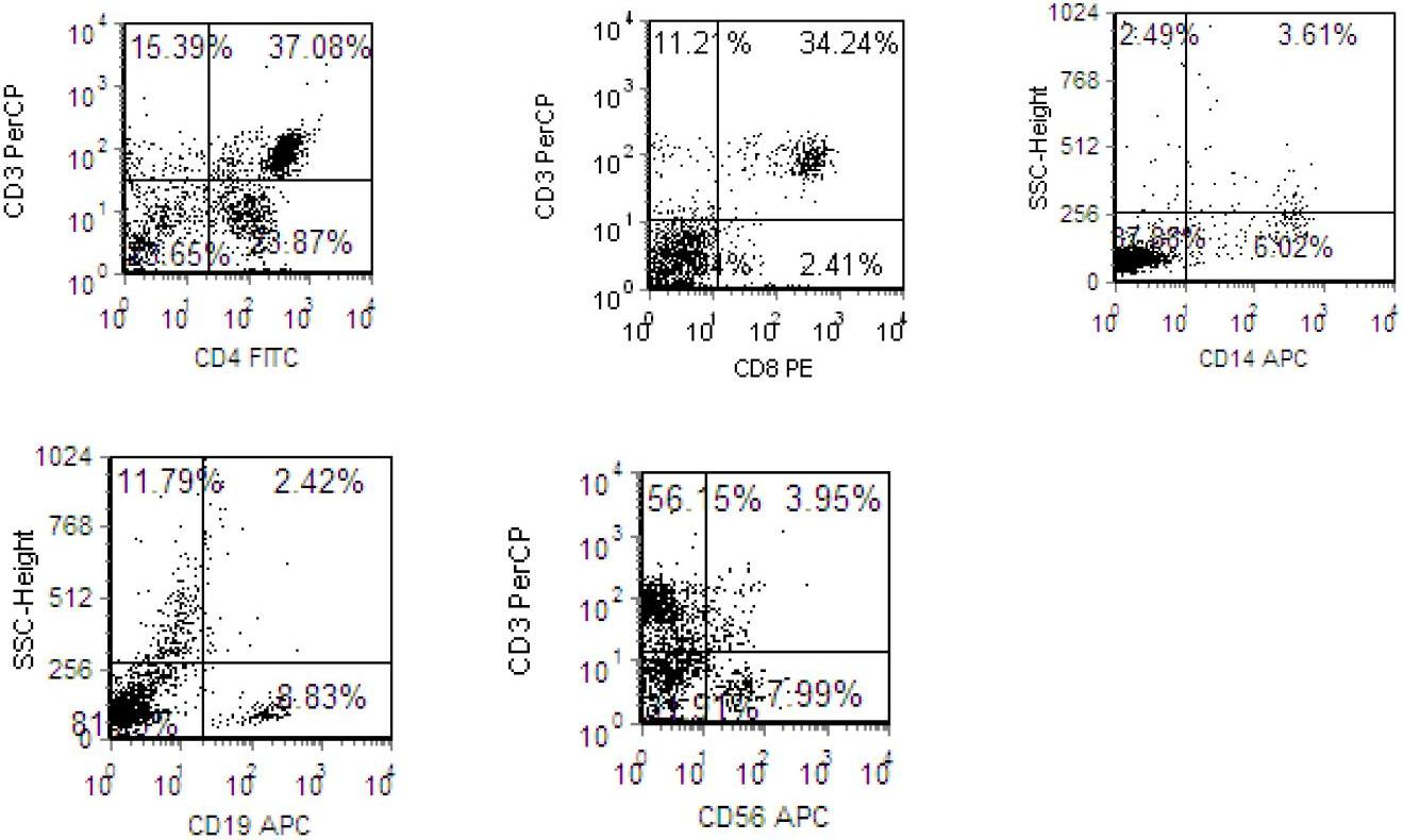 Preparation method for HLA-A0201 limited antigen specificity CTL (cytotoxic T lymphocyte)