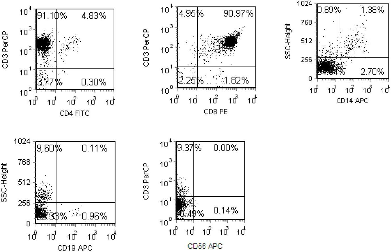 Preparation method for HLA-A0201 limited antigen specificity CTL (cytotoxic T lymphocyte)