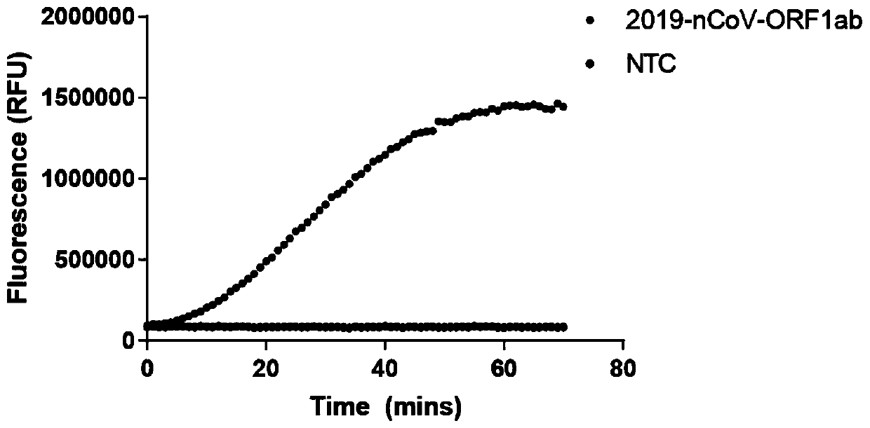 Novel coronavirus detection kit