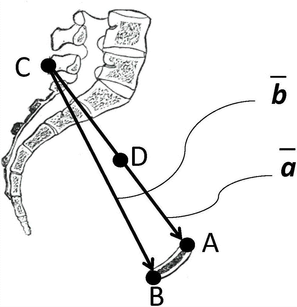 Method for fetal head orientation measurement based on electromagnetic positioning and ultrasonic imaging