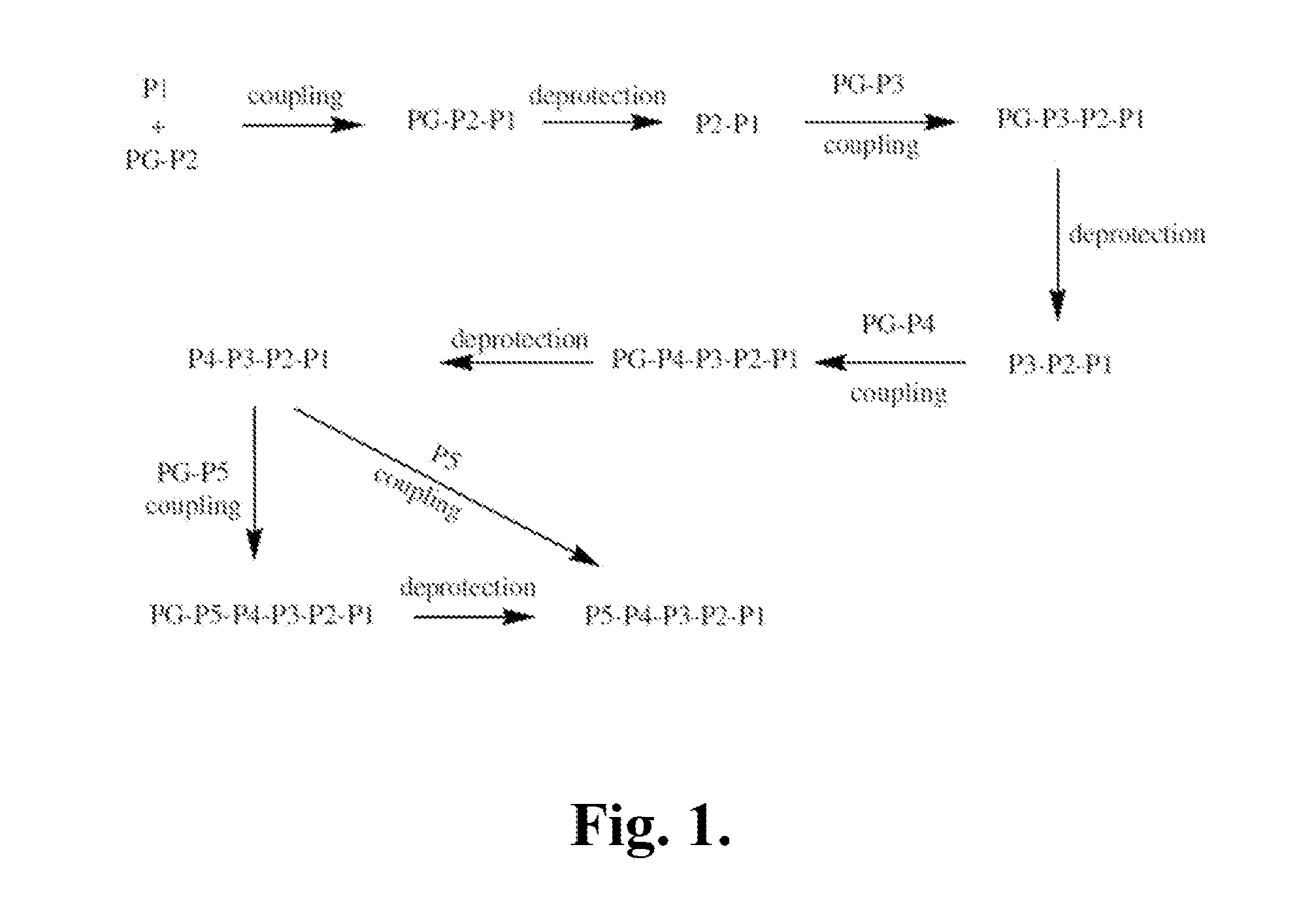 Indoline compounds as granzyme b inhibitors